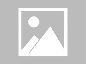 从湖畔渔村到食客荣光：汤逊湖鱼丸的崛起之路